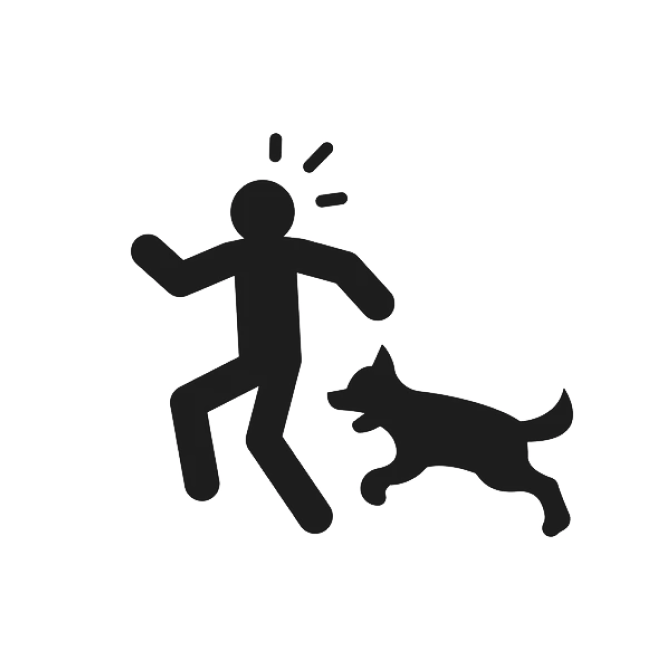 Dog Bite Injury
